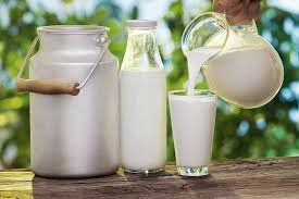 Milk